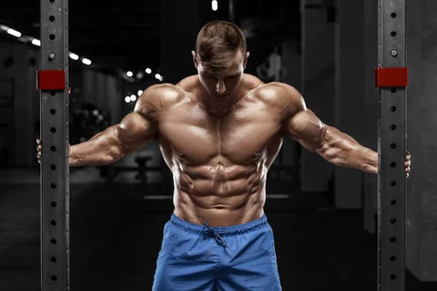 Top 15 Chest Workouts for a Bigger & Stronger Upper Body