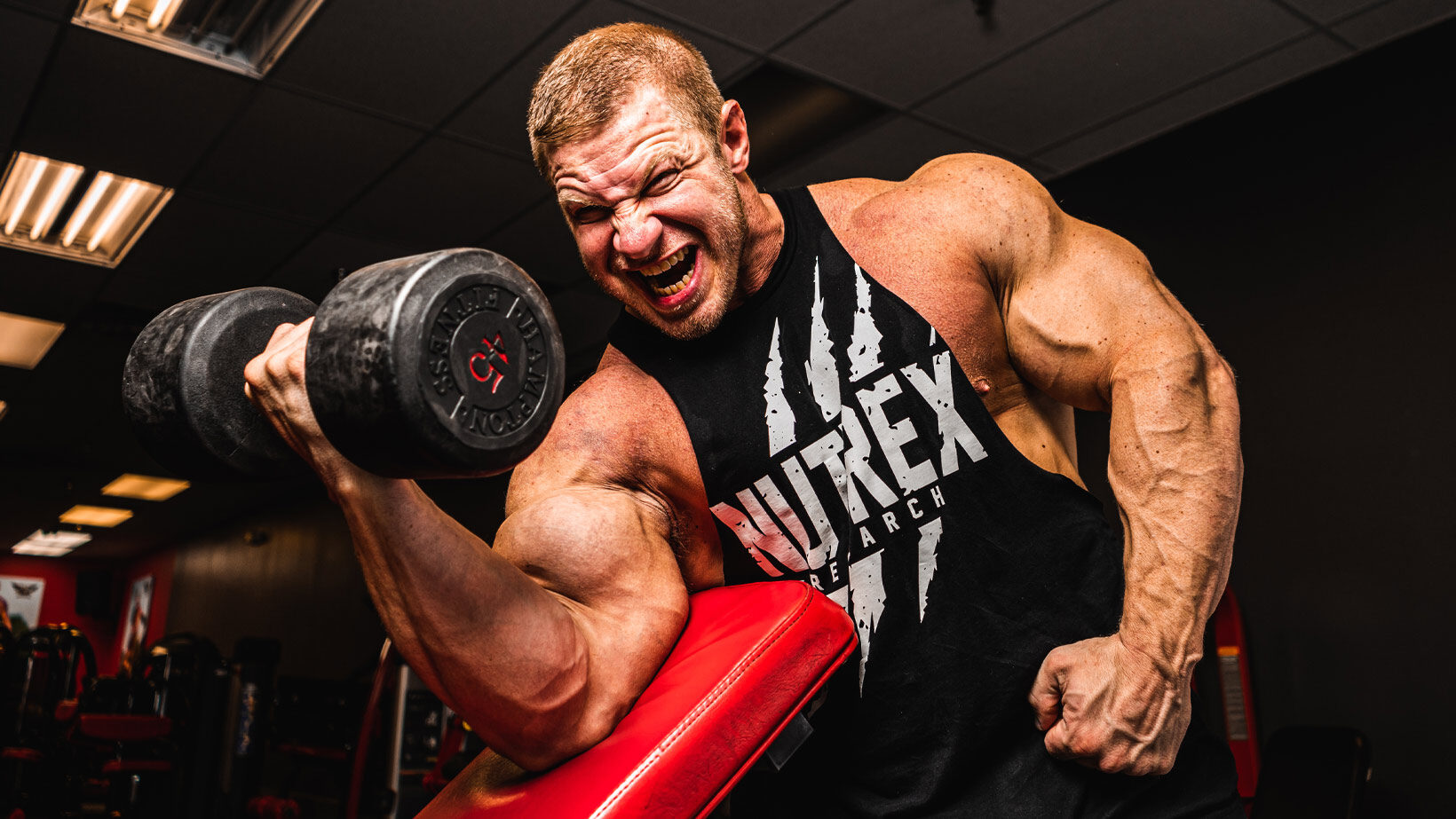 Top 20 Arm-Blasting Exercises for Massive Biceps and Triceps